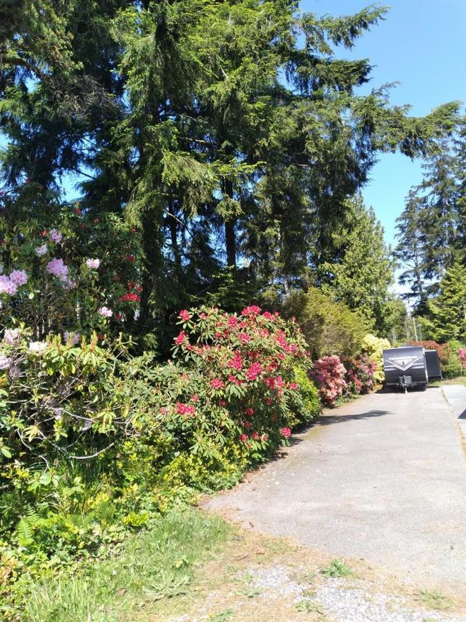 Dolphin Motel Tofino Exterior photo
