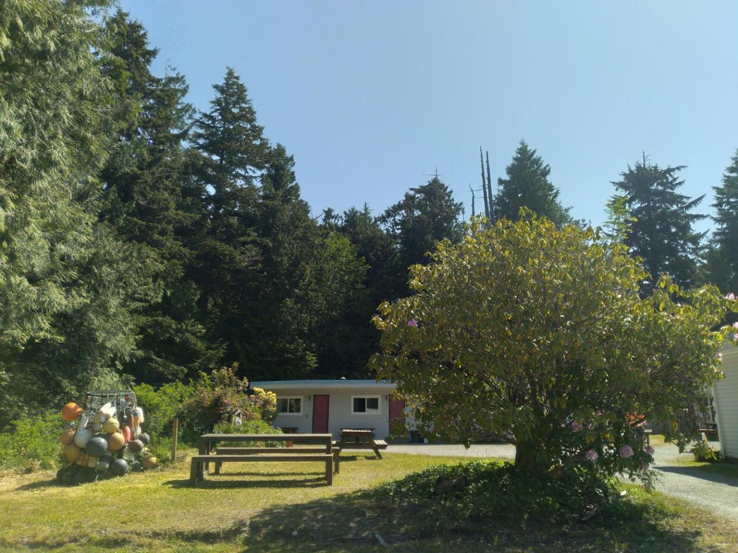 Dolphin Motel Tofino Exterior photo